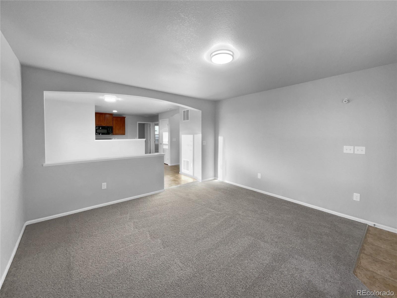 MLS Image #9 for 5242  longs peak street,brighton, Colorado