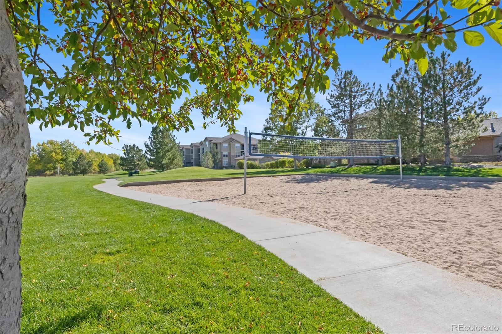 MLS Image #27 for 17101  waterhouse circle b,parker, Colorado