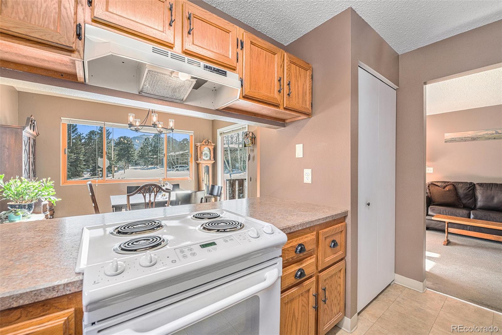 MLS Image #10 for 1050 s saint vrain avenue,estes park, Colorado