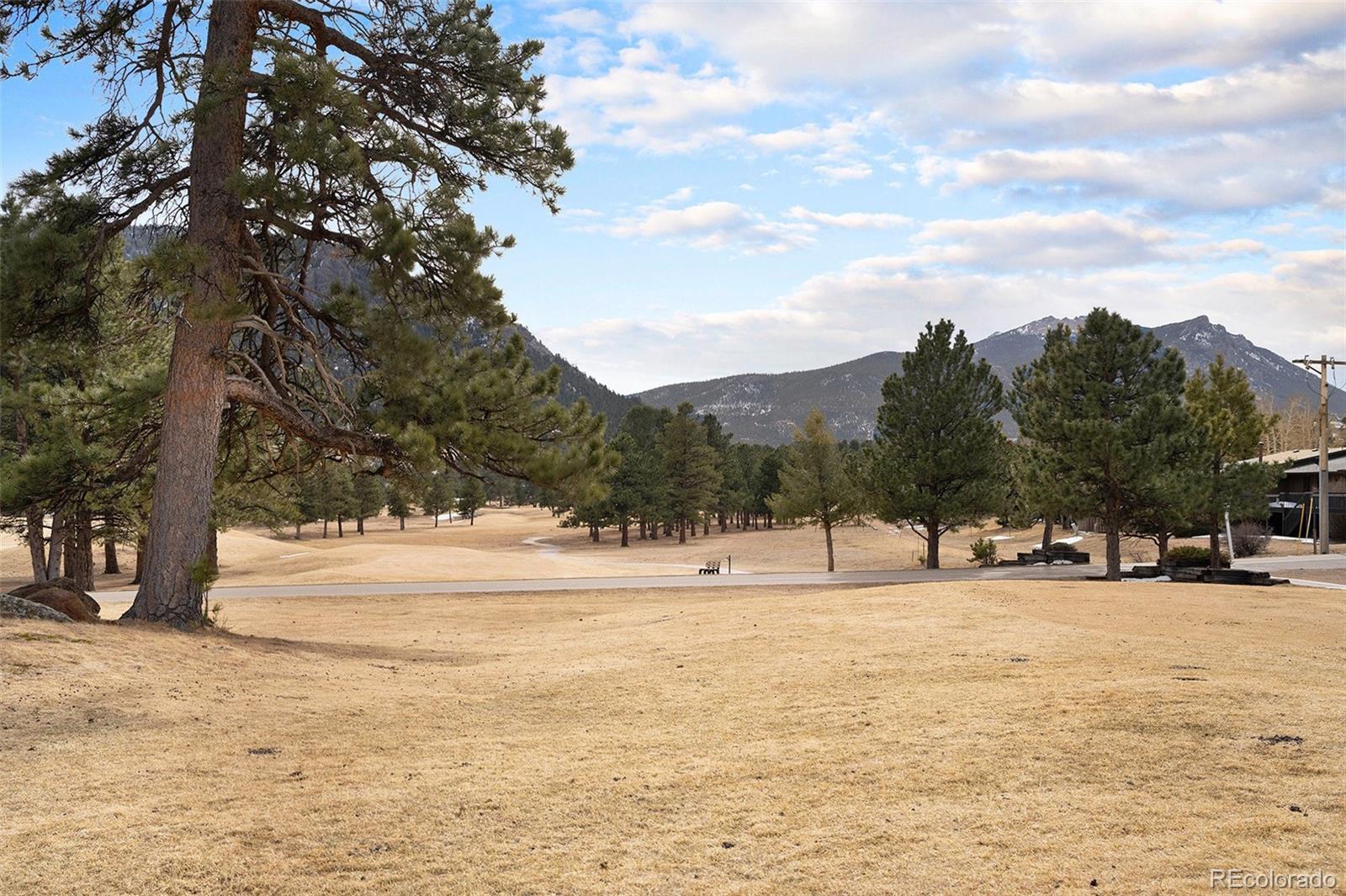 MLS Image #23 for 1050 s saint vrain avenue,estes park, Colorado