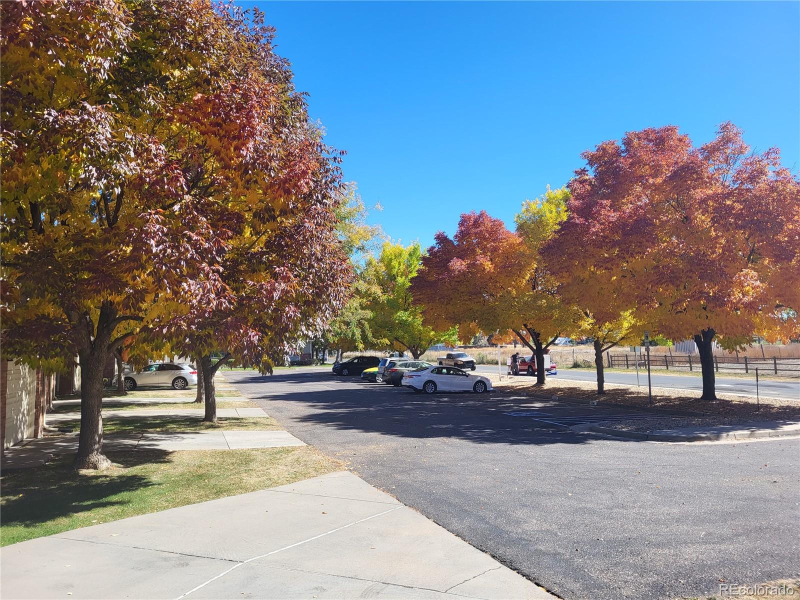 MLS Image #33 for 15843 e 13th avenue,aurora, Colorado