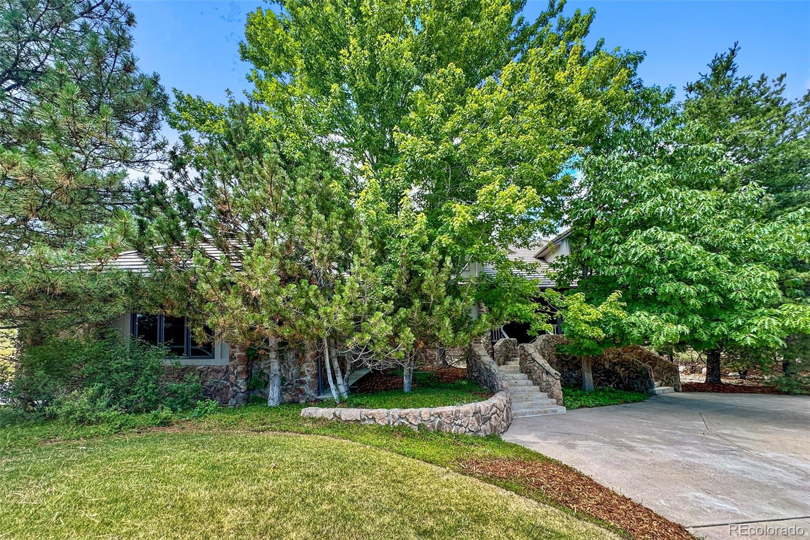 MLS Image #2 for 39  golden eagle lane,littleton, Colorado