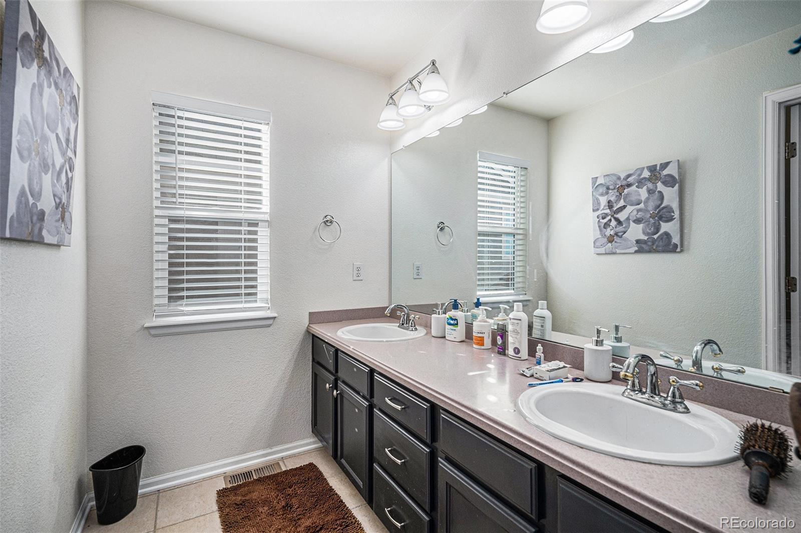 MLS Image #25 for 4357  ivycrest point,highlands ranch, Colorado