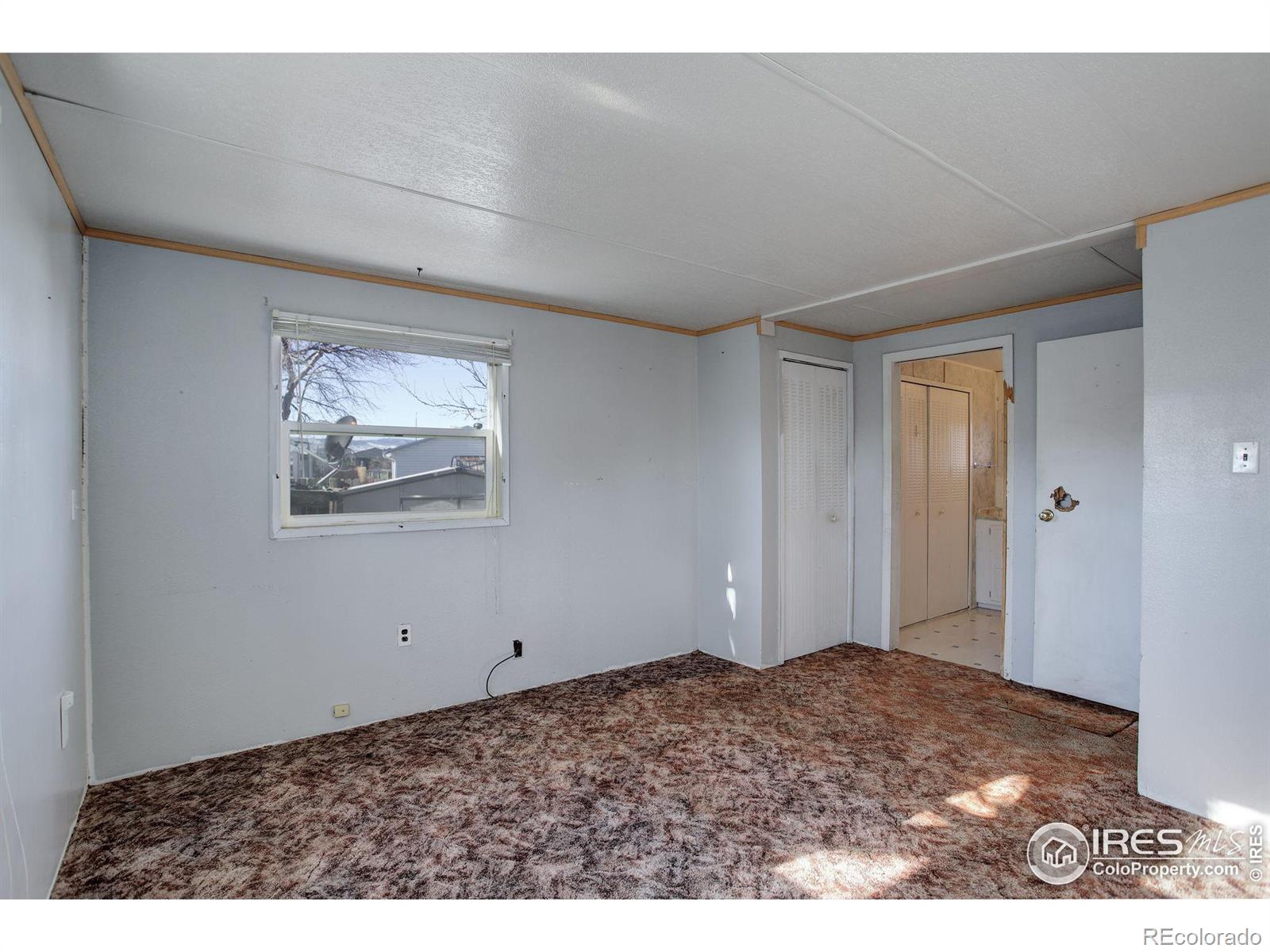 MLS Image #15 for 1017  cynthia court,loveland, Colorado