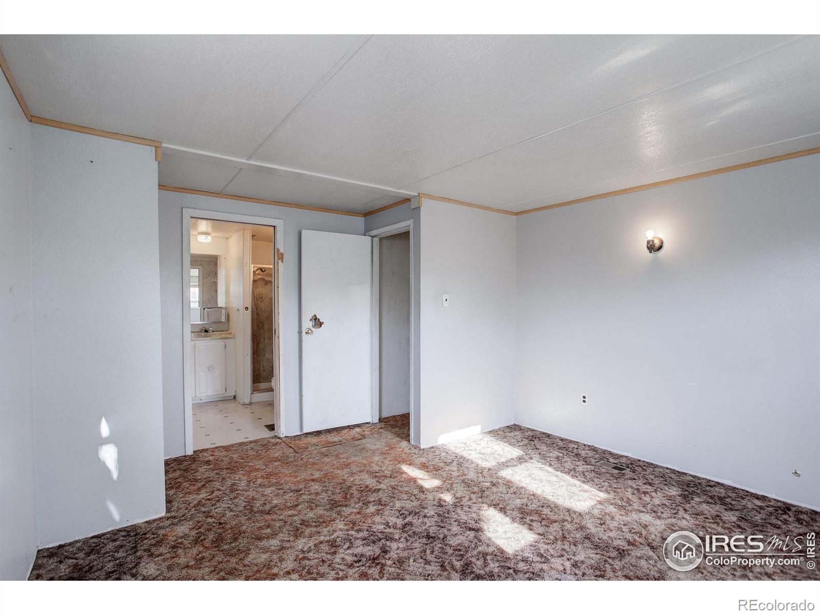 MLS Image #17 for 1017  cynthia court,loveland, Colorado