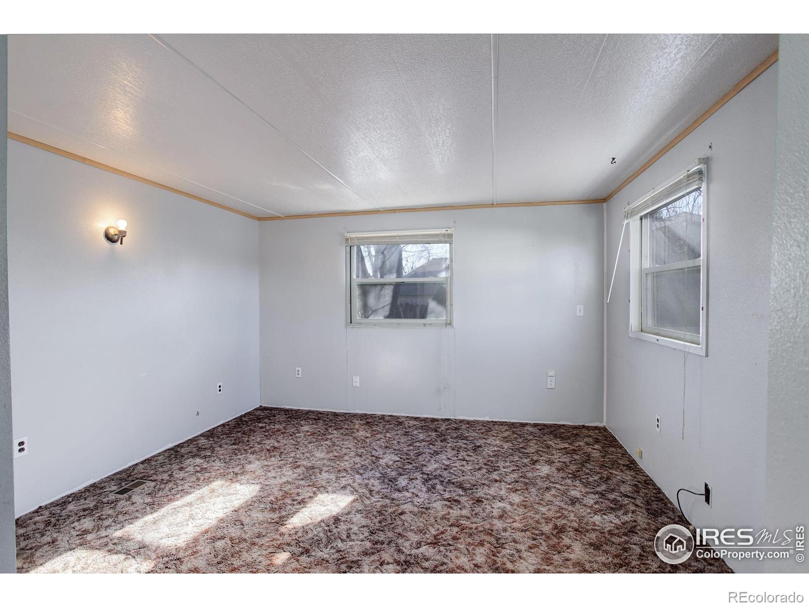 MLS Image #18 for 1017  cynthia court,loveland, Colorado