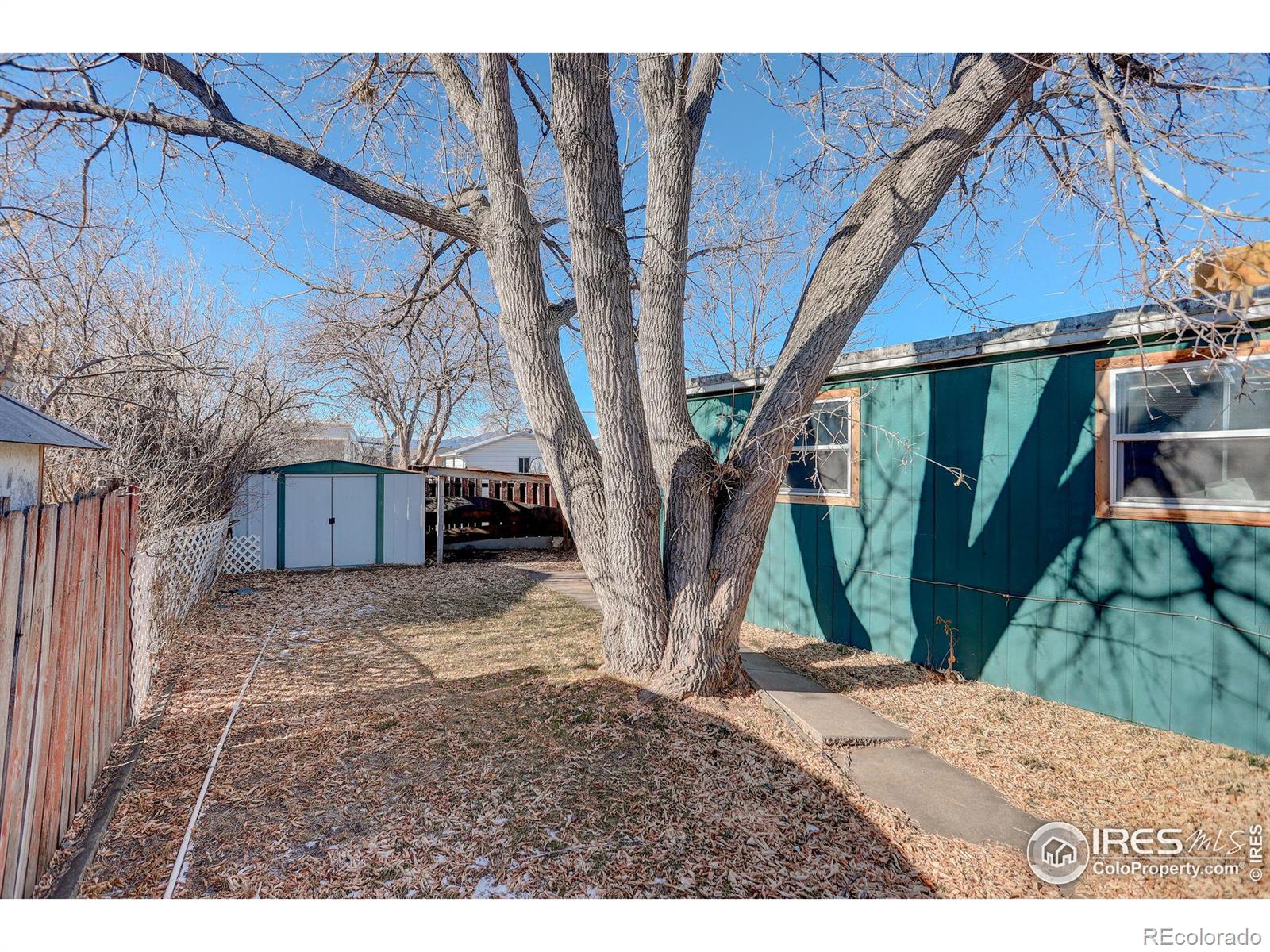 MLS Image #29 for 1017  cynthia court,loveland, Colorado