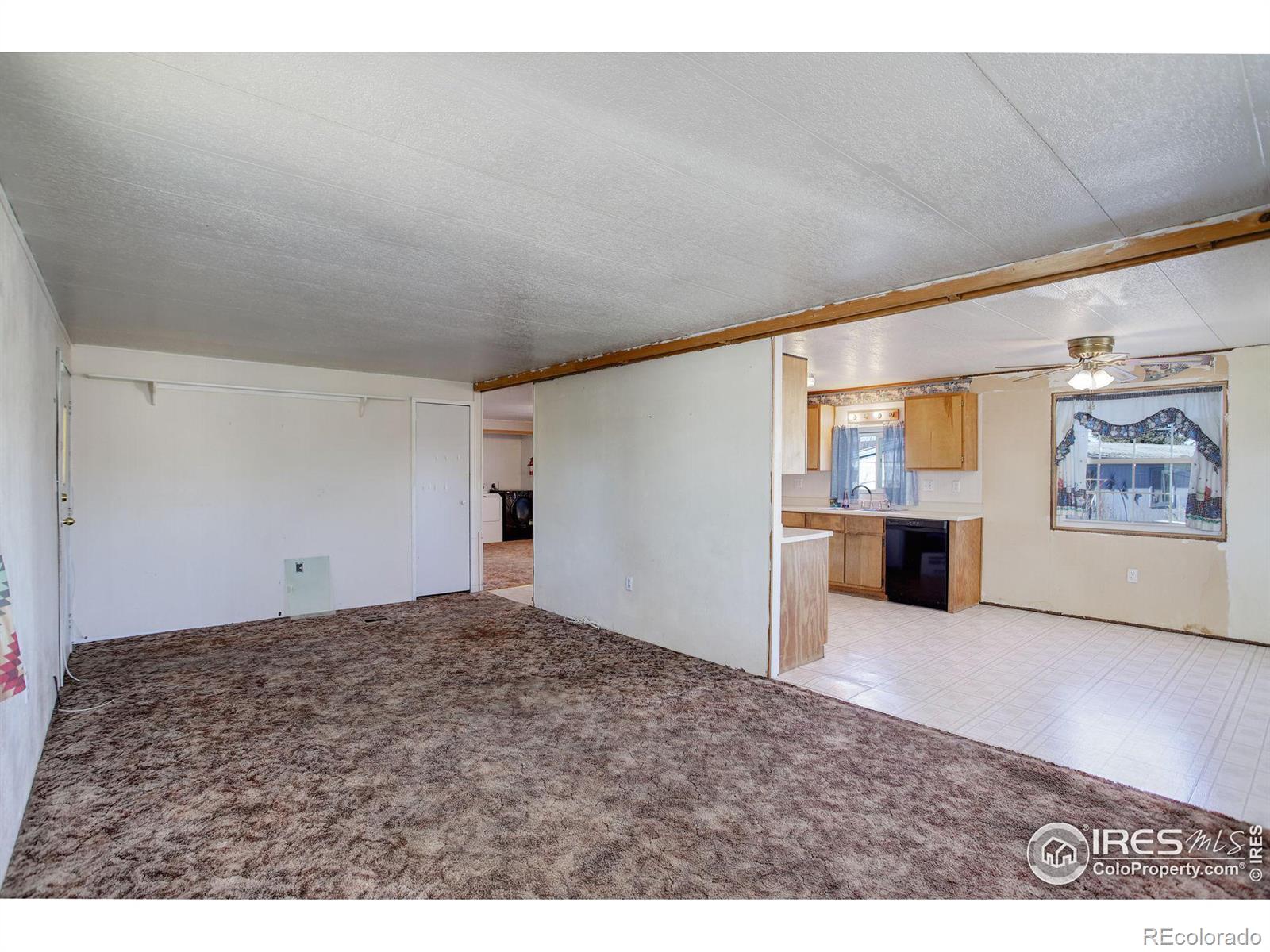 MLS Image #4 for 1017  cynthia court,loveland, Colorado