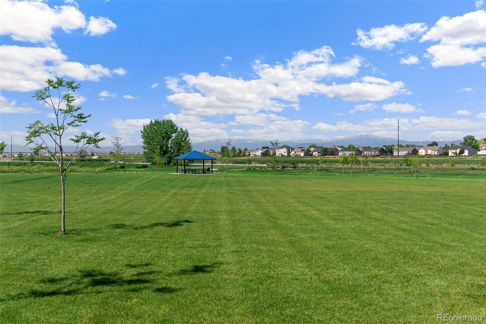 MLS Image #34 for 621  sawyers pond drive,severance, Colorado