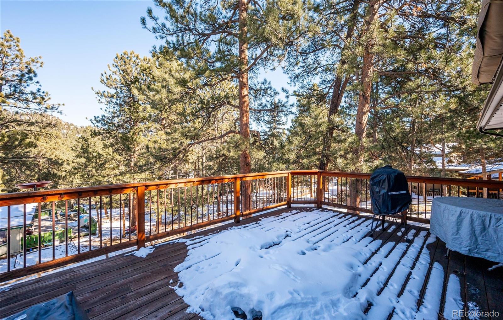 MLS Image #25 for 28659  pine drive,evergreen, Colorado