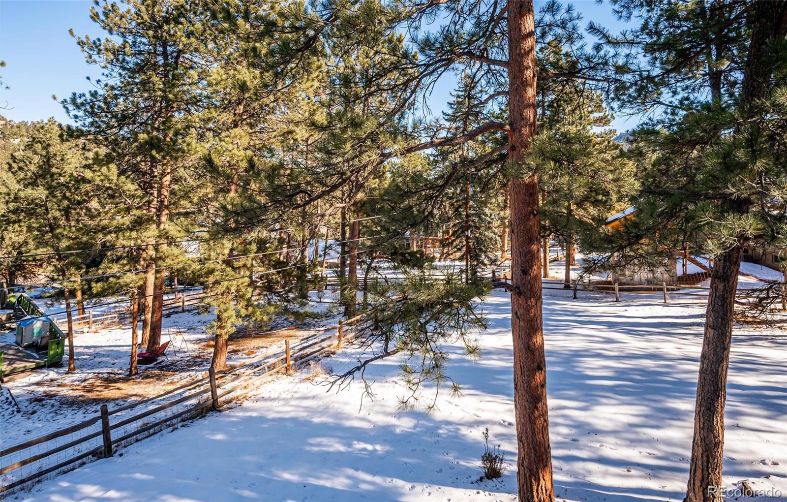 MLS Image #28 for 28659  pine drive,evergreen, Colorado