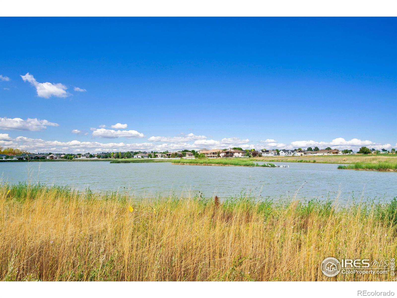 MLS Image #32 for 621  sawyers pond drive,severance, Colorado