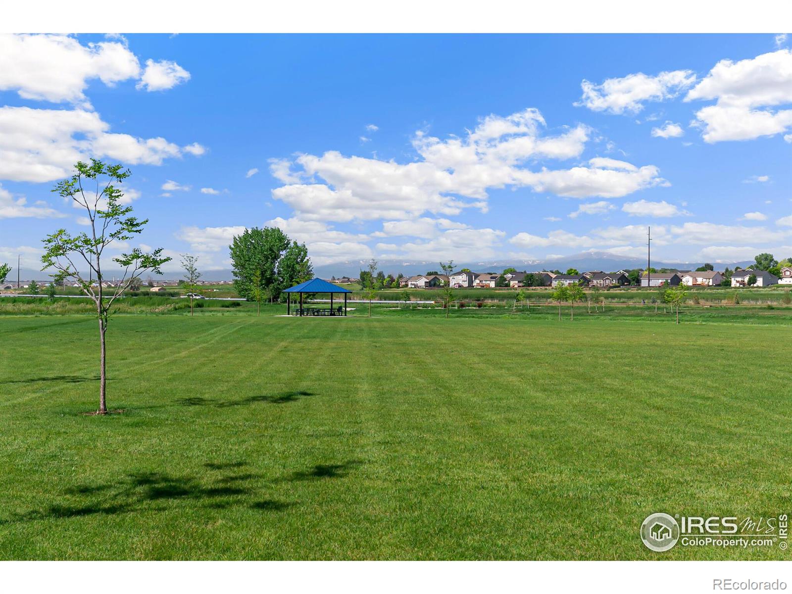 MLS Image #36 for 621  sawyers pond drive,severance, Colorado