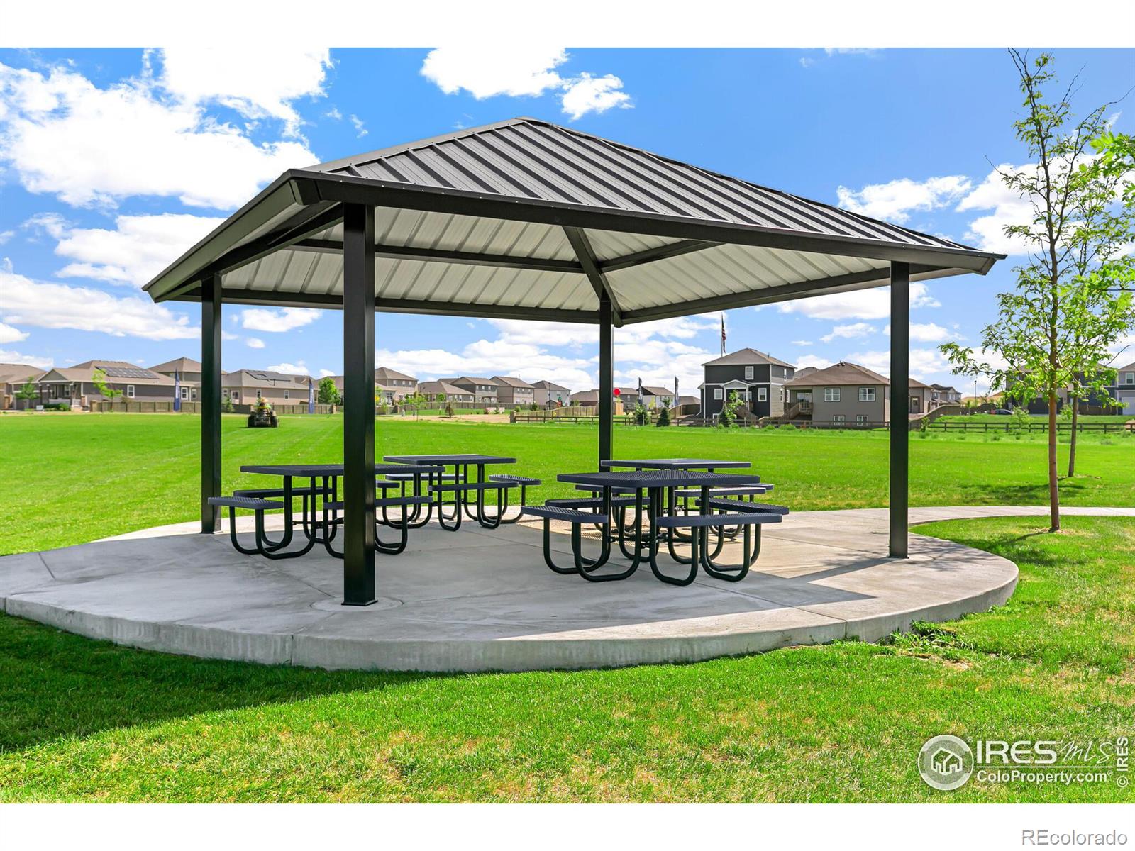 MLS Image #38 for 621  sawyers pond drive,severance, Colorado