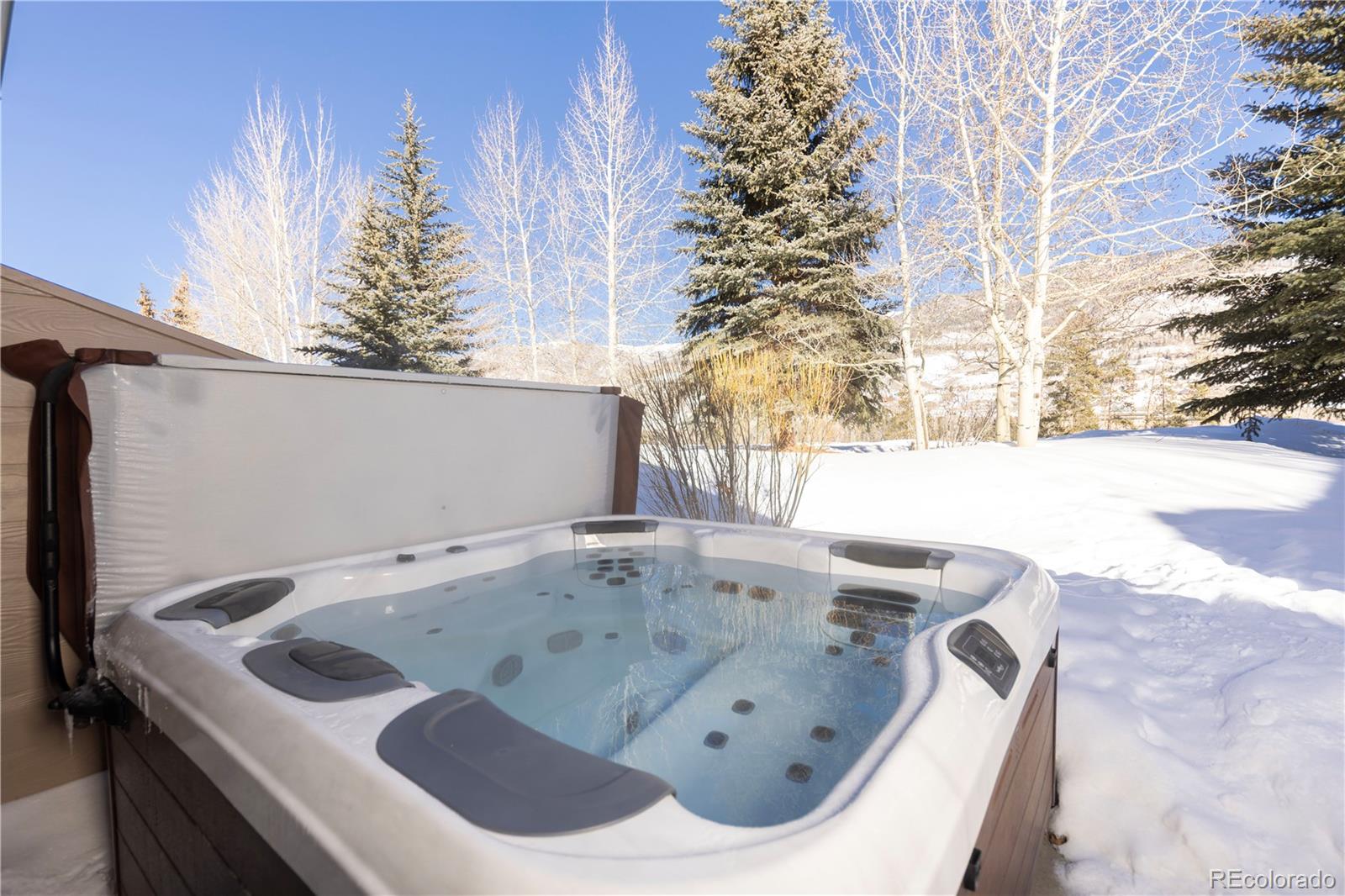 MLS Image #20 for 269  kestrel lane,silverthorne, Colorado