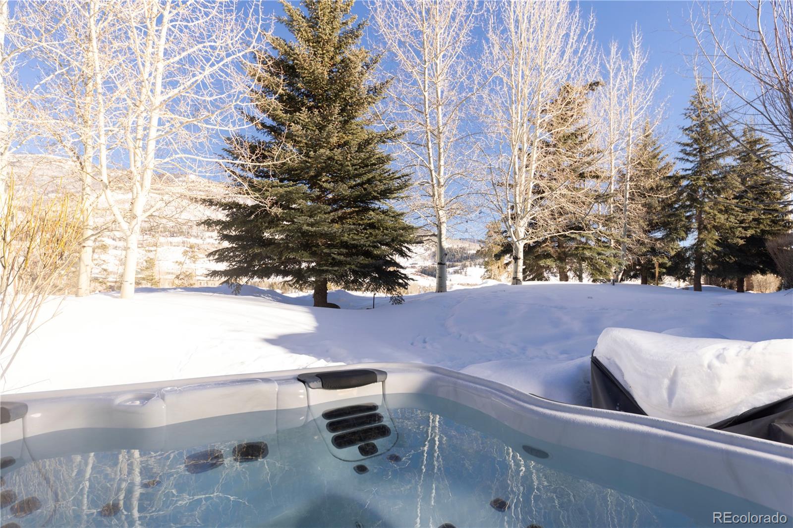 MLS Image #21 for 269  kestrel lane,silverthorne, Colorado