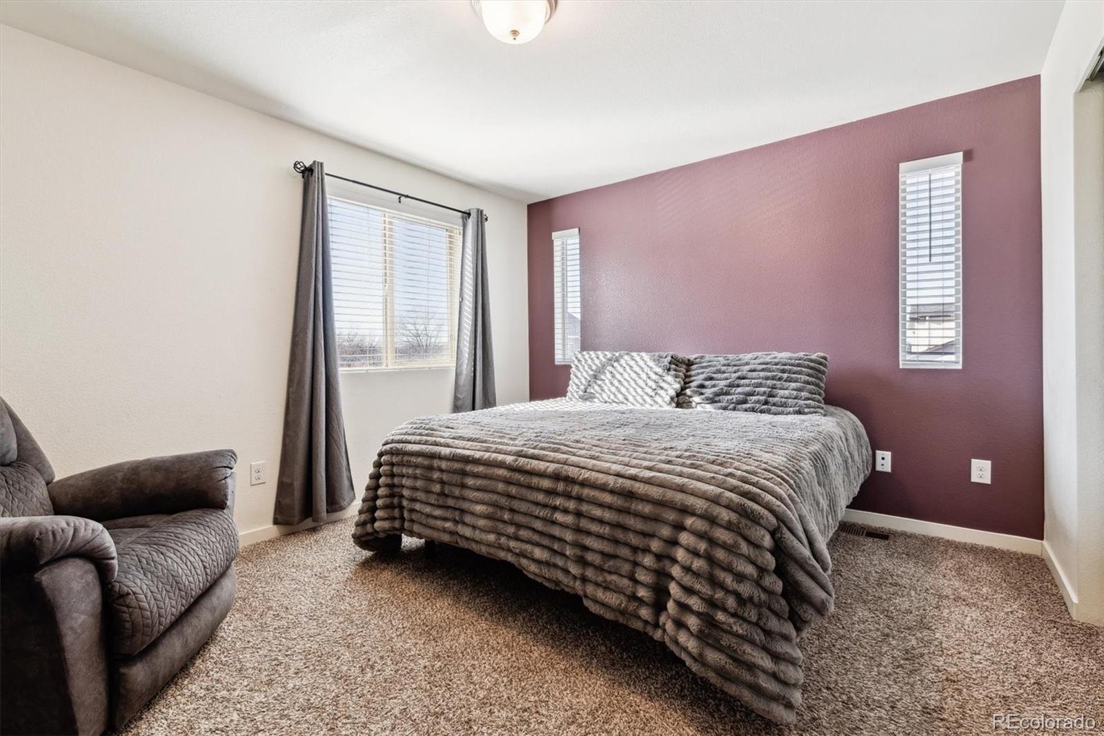 MLS Image #15 for 19059 e 54th place,denver, Colorado