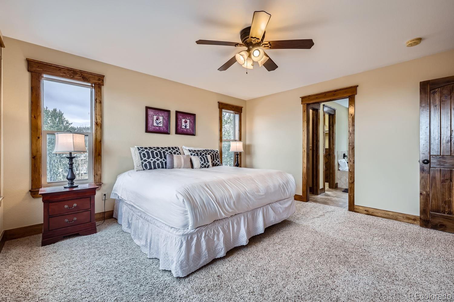 MLS Image #14 for 1424  bluestem way,fairplay, Colorado