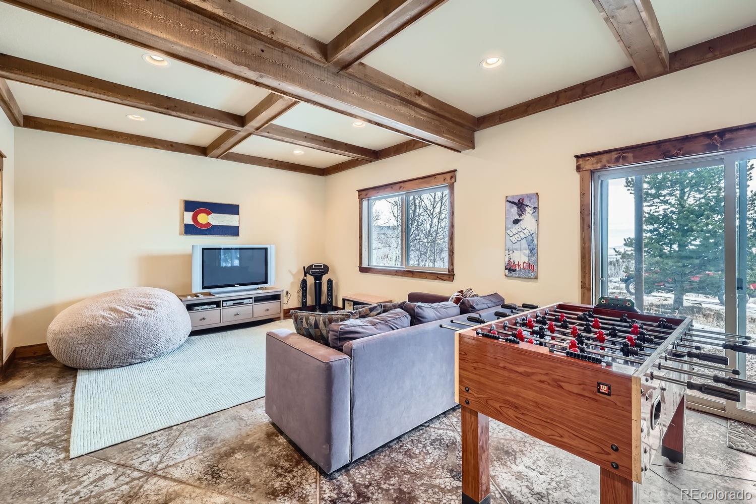 MLS Image #20 for 1424  bluestem way,fairplay, Colorado