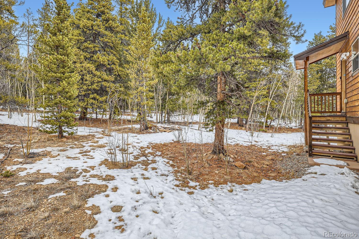 MLS Image #23 for 1424  bluestem way,fairplay, Colorado