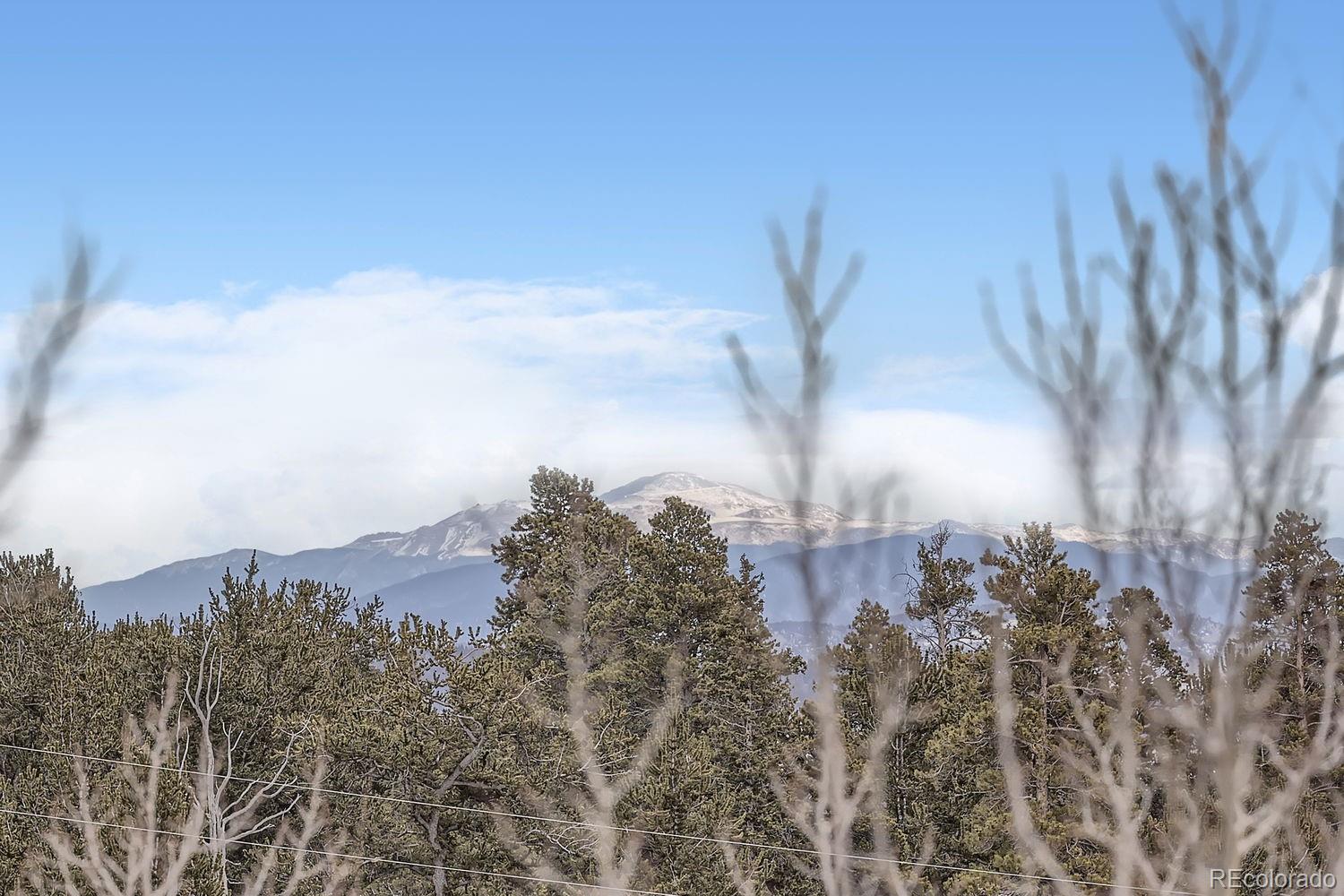 MLS Image #38 for 1424  bluestem way,fairplay, Colorado