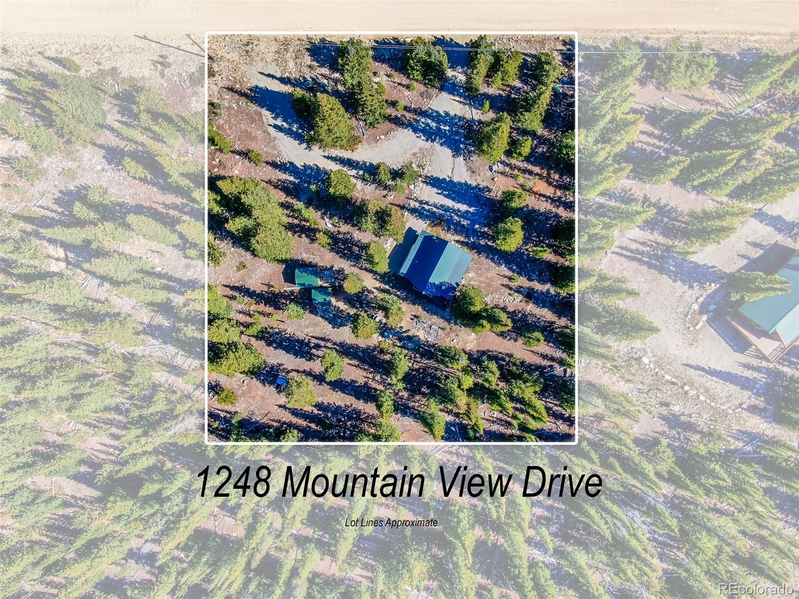 MLS Image #44 for 1248  mountain view drive,fairplay, Colorado