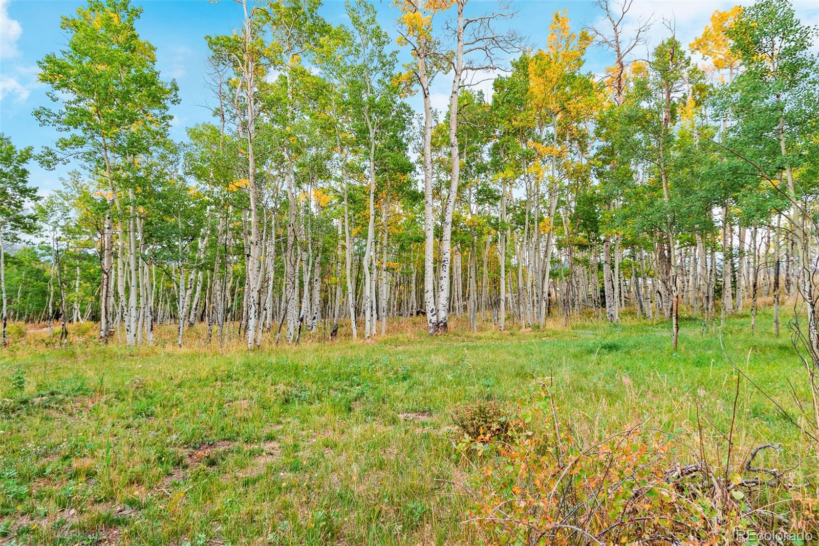 MLS Image #26 for 465  mount guyot circle,jefferson, Colorado