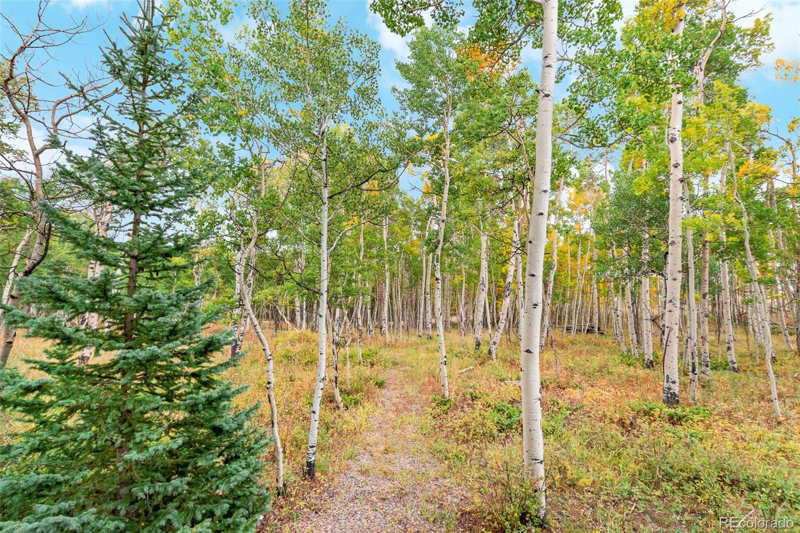 MLS Image #28 for 465  mount guyot circle,jefferson, Colorado