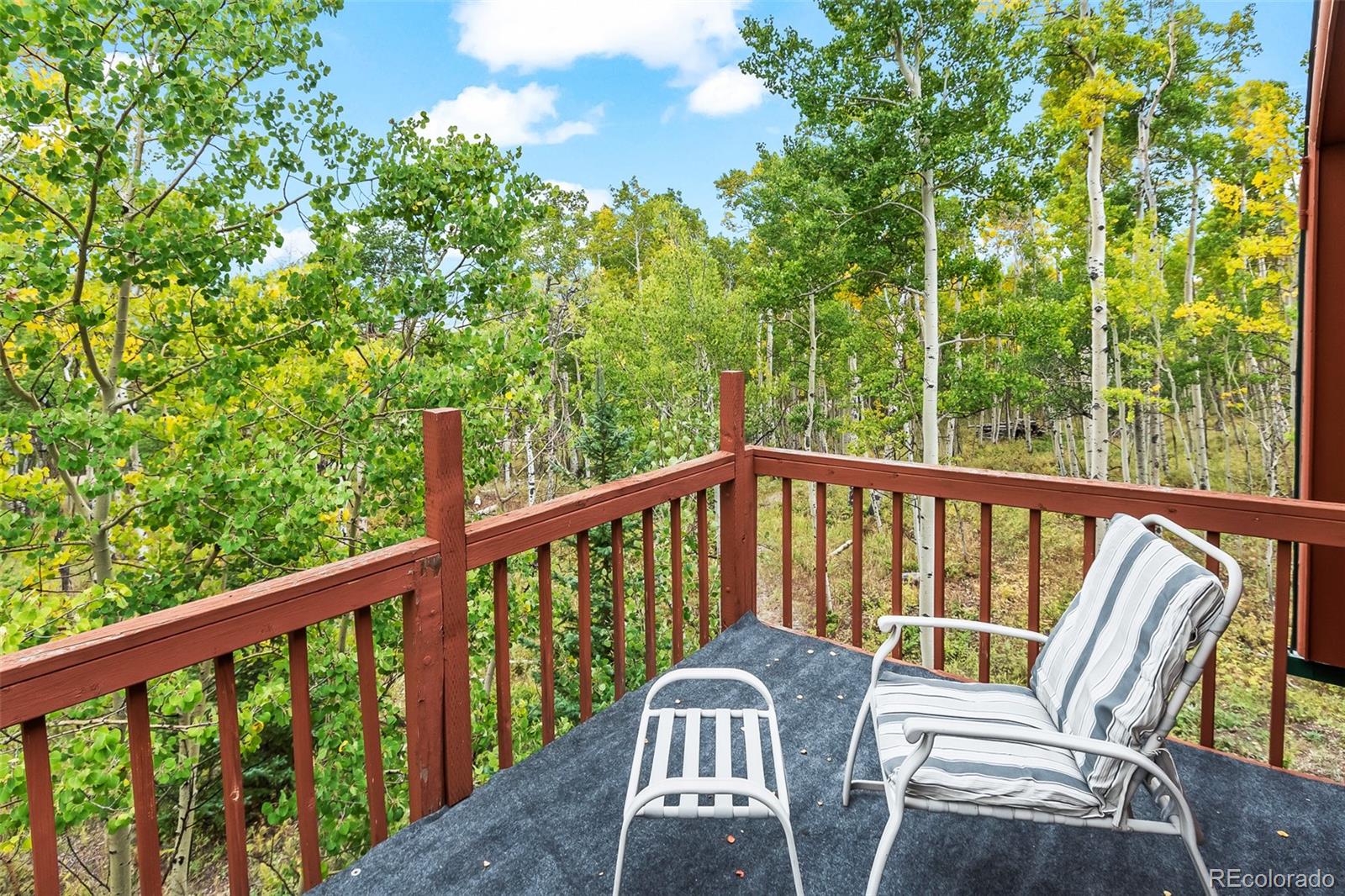 MLS Image #36 for 465  mount guyot circle,jefferson, Colorado