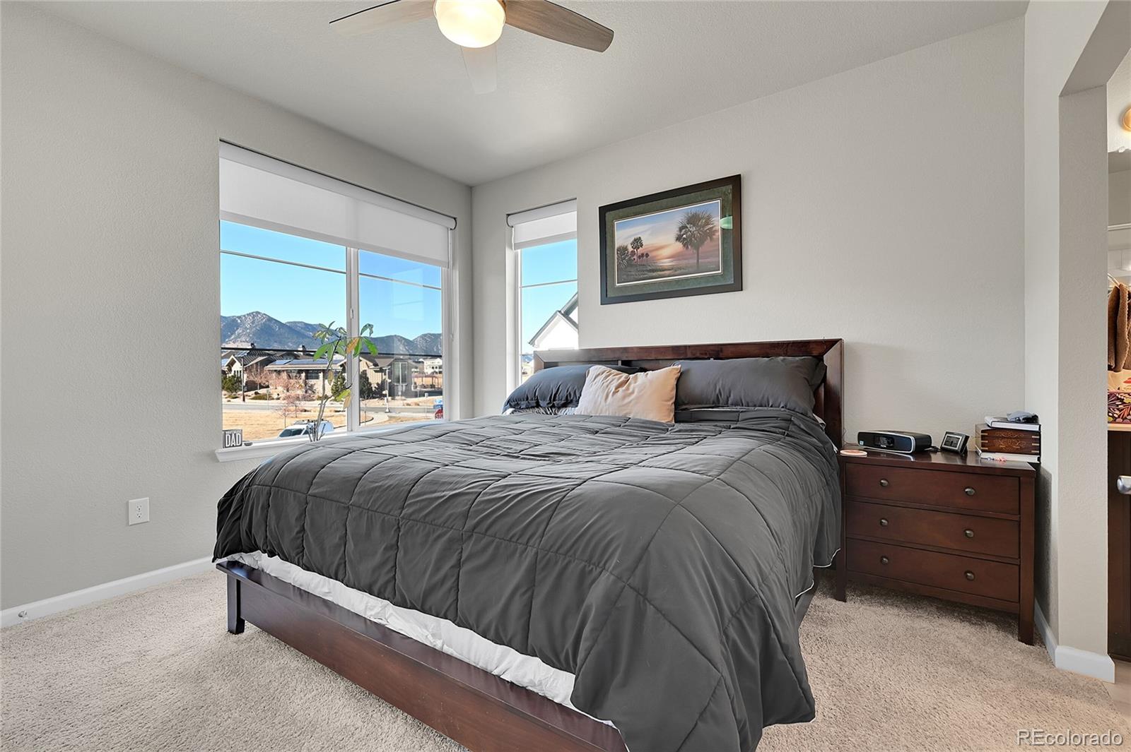 MLS Image #13 for 9355  gore street,arvada, Colorado