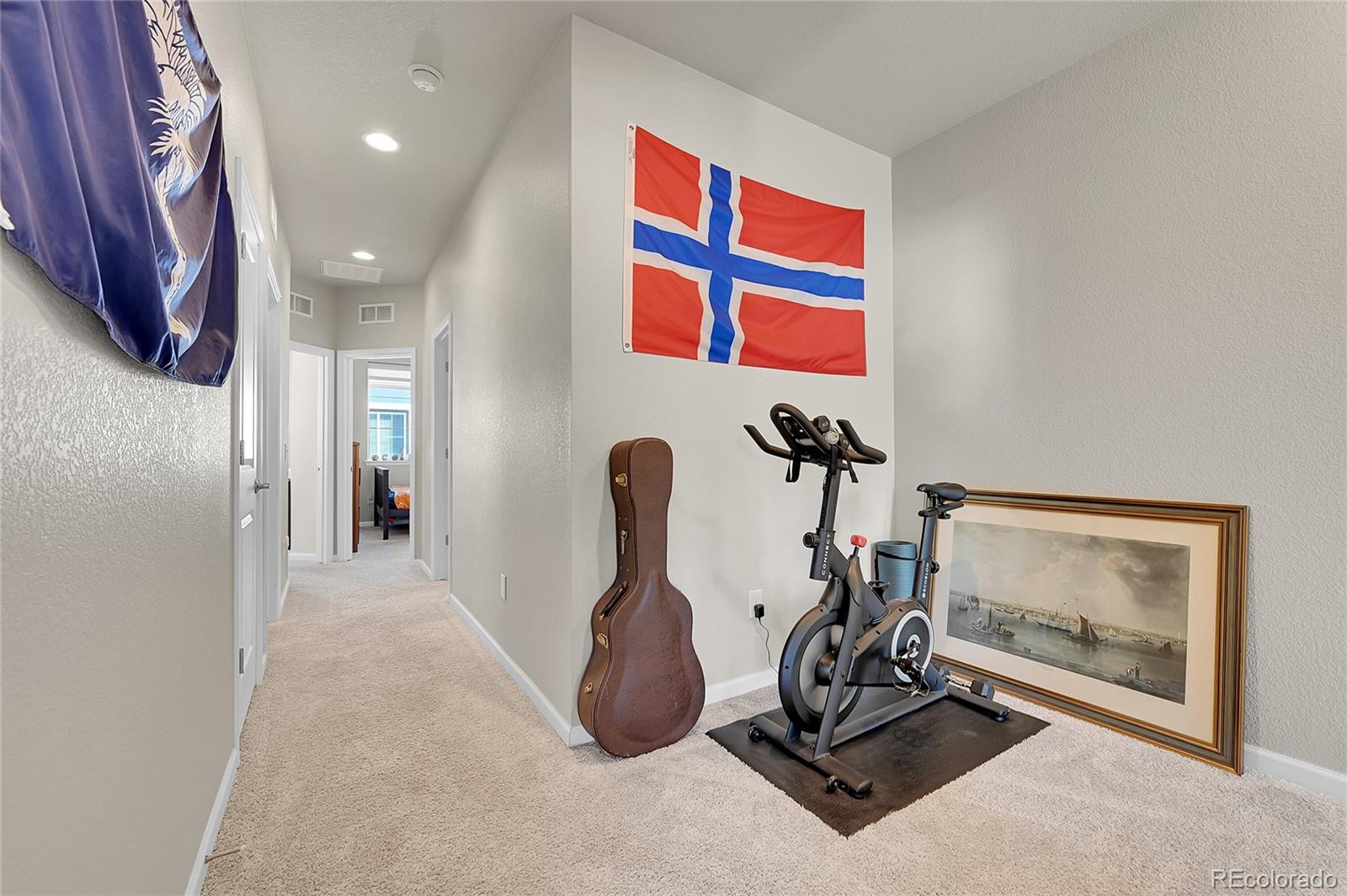 MLS Image #19 for 9355  gore street,arvada, Colorado