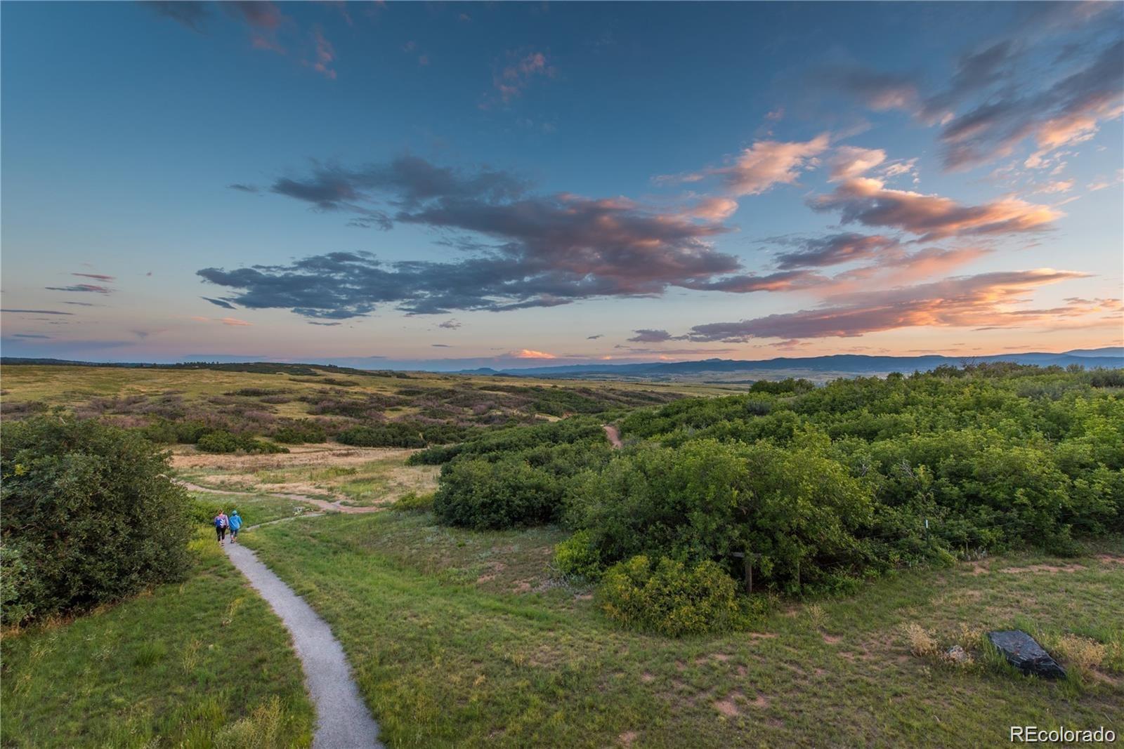 MLS Image #43 for 10535  starglow court,highlands ranch, Colorado