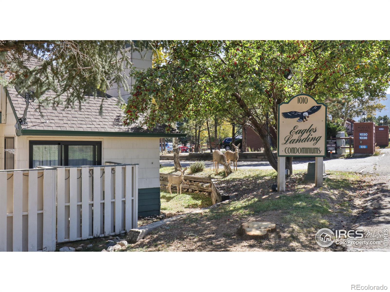 MLS Image #0 for 1010 s saint vrain avenue,estes park, Colorado