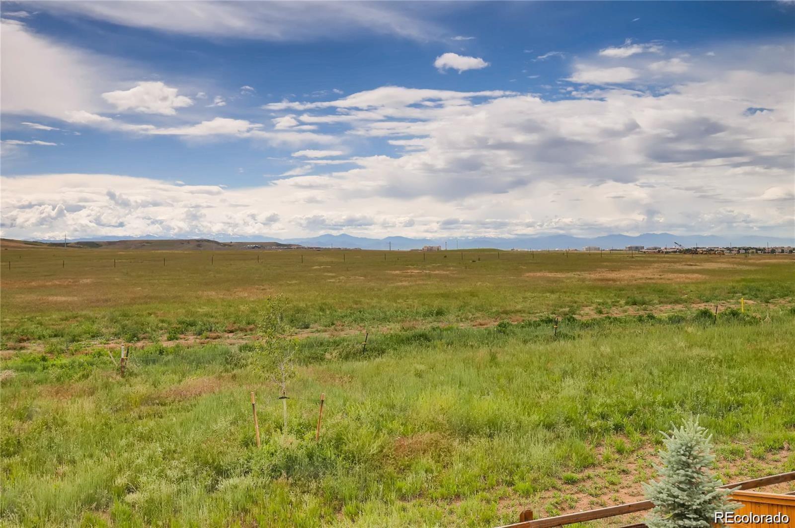 MLS Image #15 for 11099  pastel point,parker, Colorado