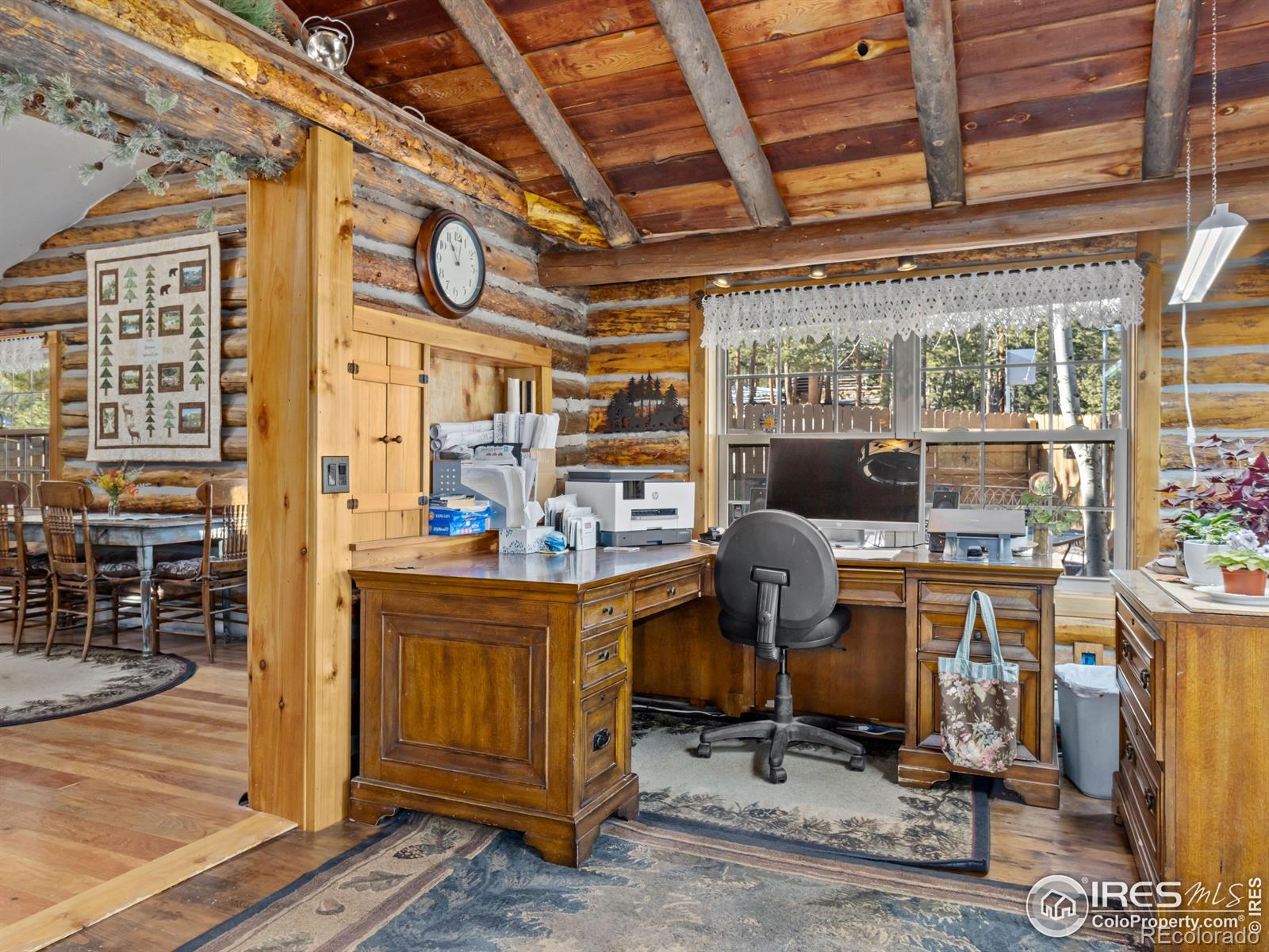 MLS Image #13 for 219  ski road,allenspark, Colorado