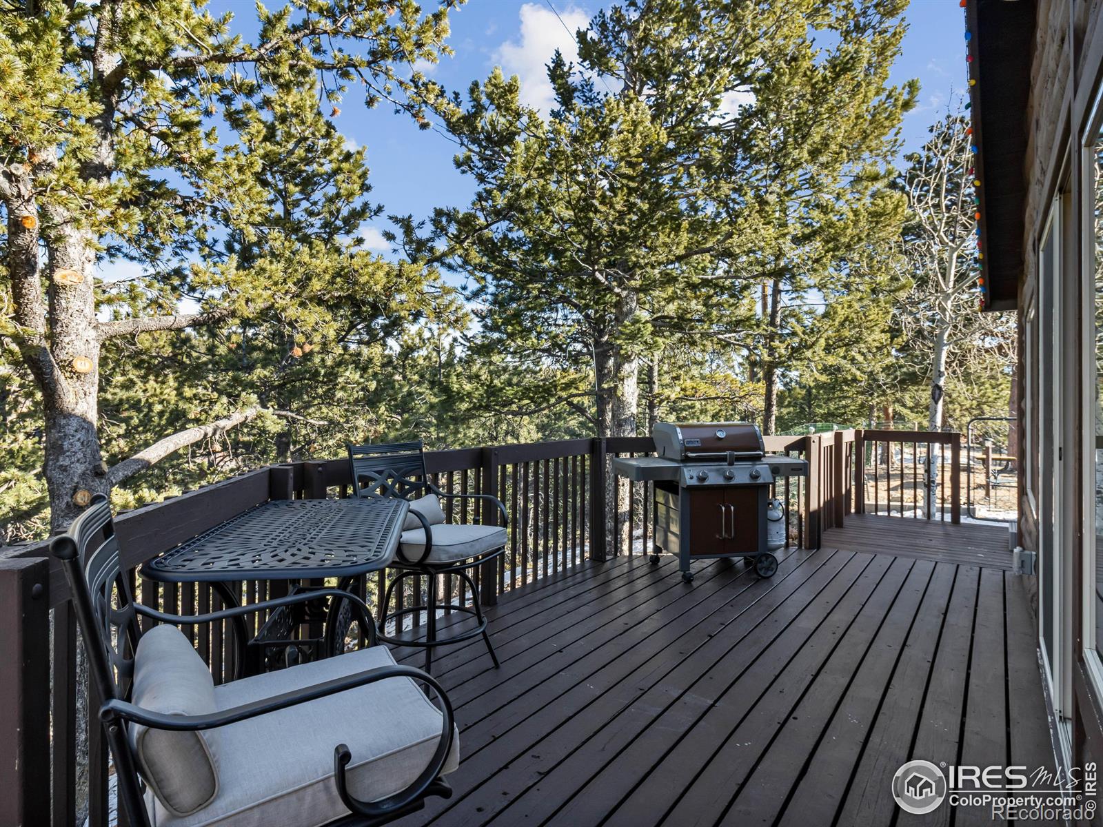 MLS Image #14 for 219  ski road,allenspark, Colorado