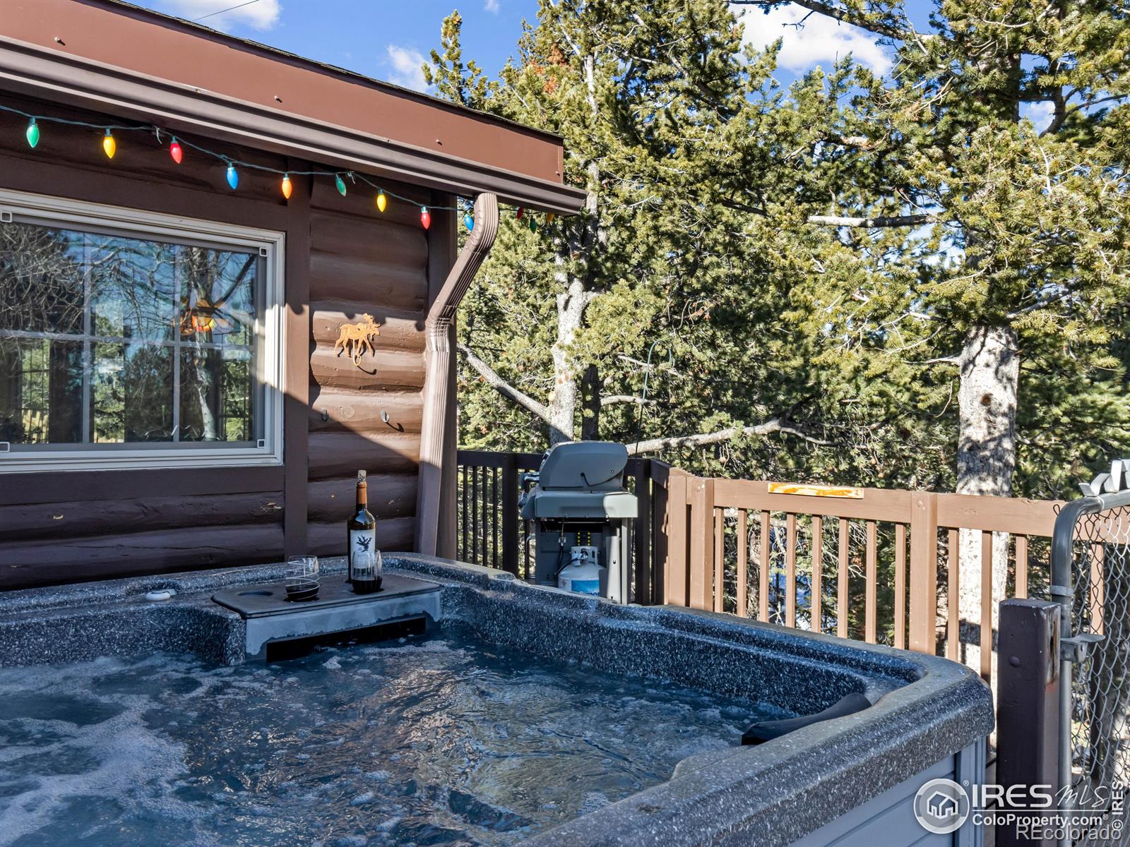 MLS Image #15 for 219  ski road,allenspark, Colorado