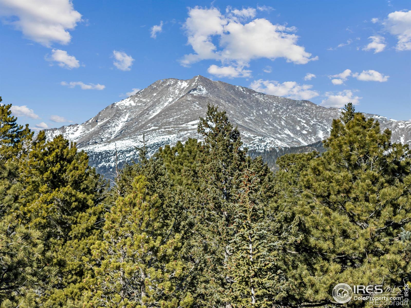 MLS Image #16 for 219  ski road,allenspark, Colorado