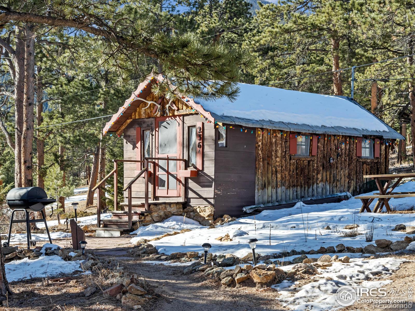 MLS Image #17 for 219  ski road,allenspark, Colorado