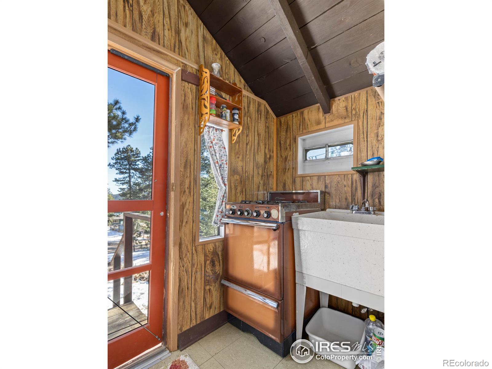 MLS Image #18 for 219  ski road,allenspark, Colorado