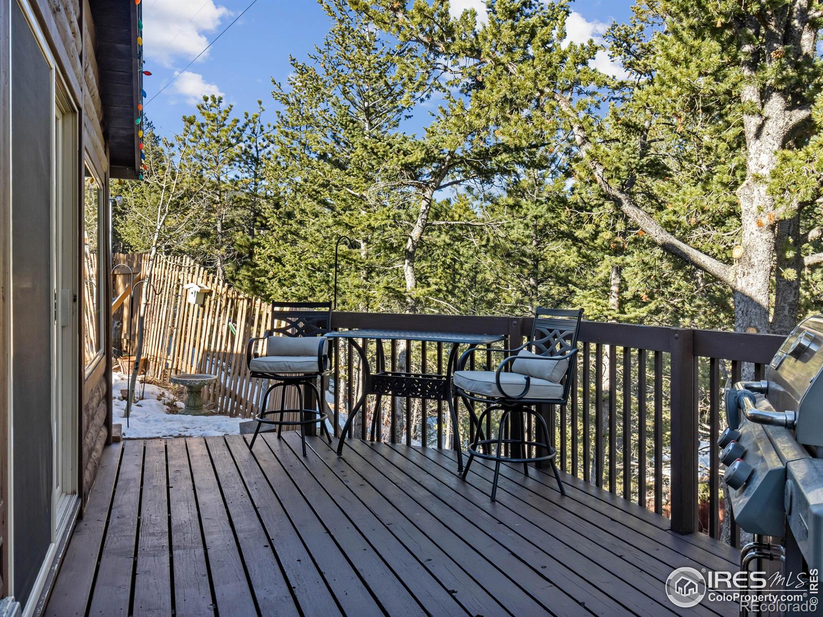 MLS Image #25 for 219  ski road,allenspark, Colorado