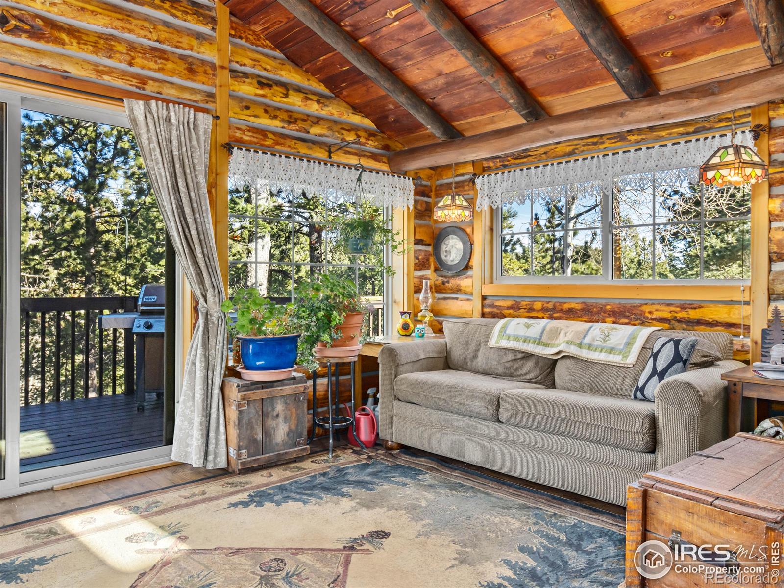 MLS Image #4 for 219  ski road,allenspark, Colorado