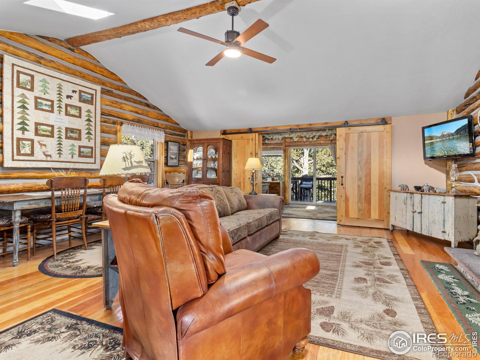 MLS Image #5 for 219  ski road,allenspark, Colorado