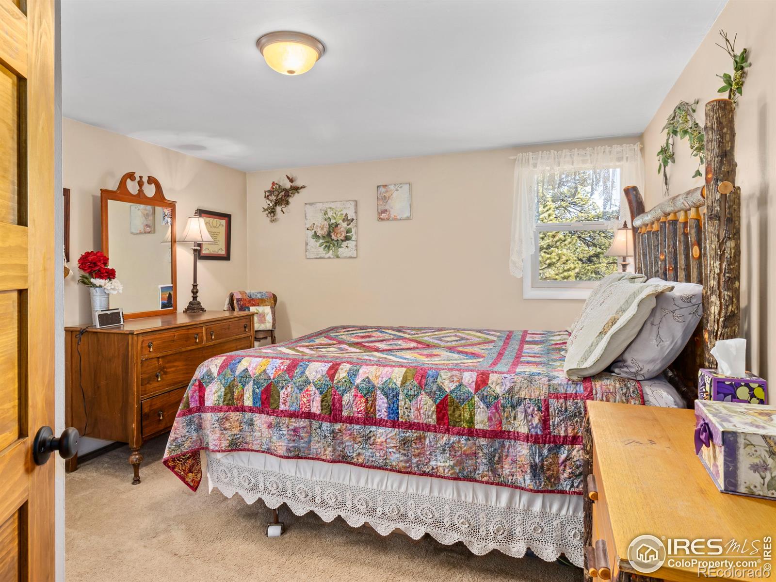 MLS Image #9 for 219  ski road,allenspark, Colorado