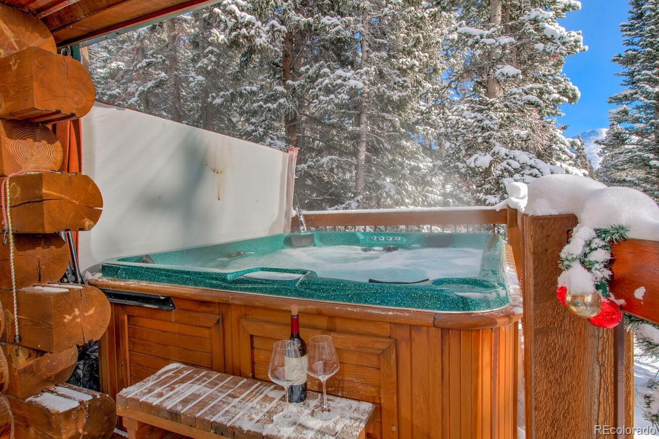 MLS Image #11 for 229  lee lane,breckenridge, Colorado