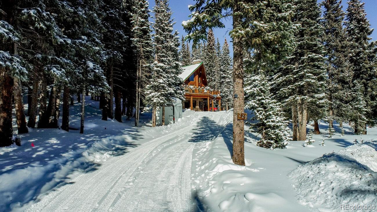 MLS Image #37 for 229  lee lane,breckenridge, Colorado