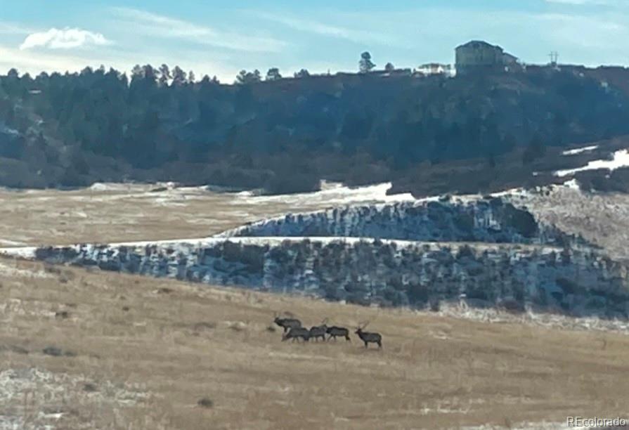 MLS Image #28 for 2648  fair meadow place,castle rock, Colorado