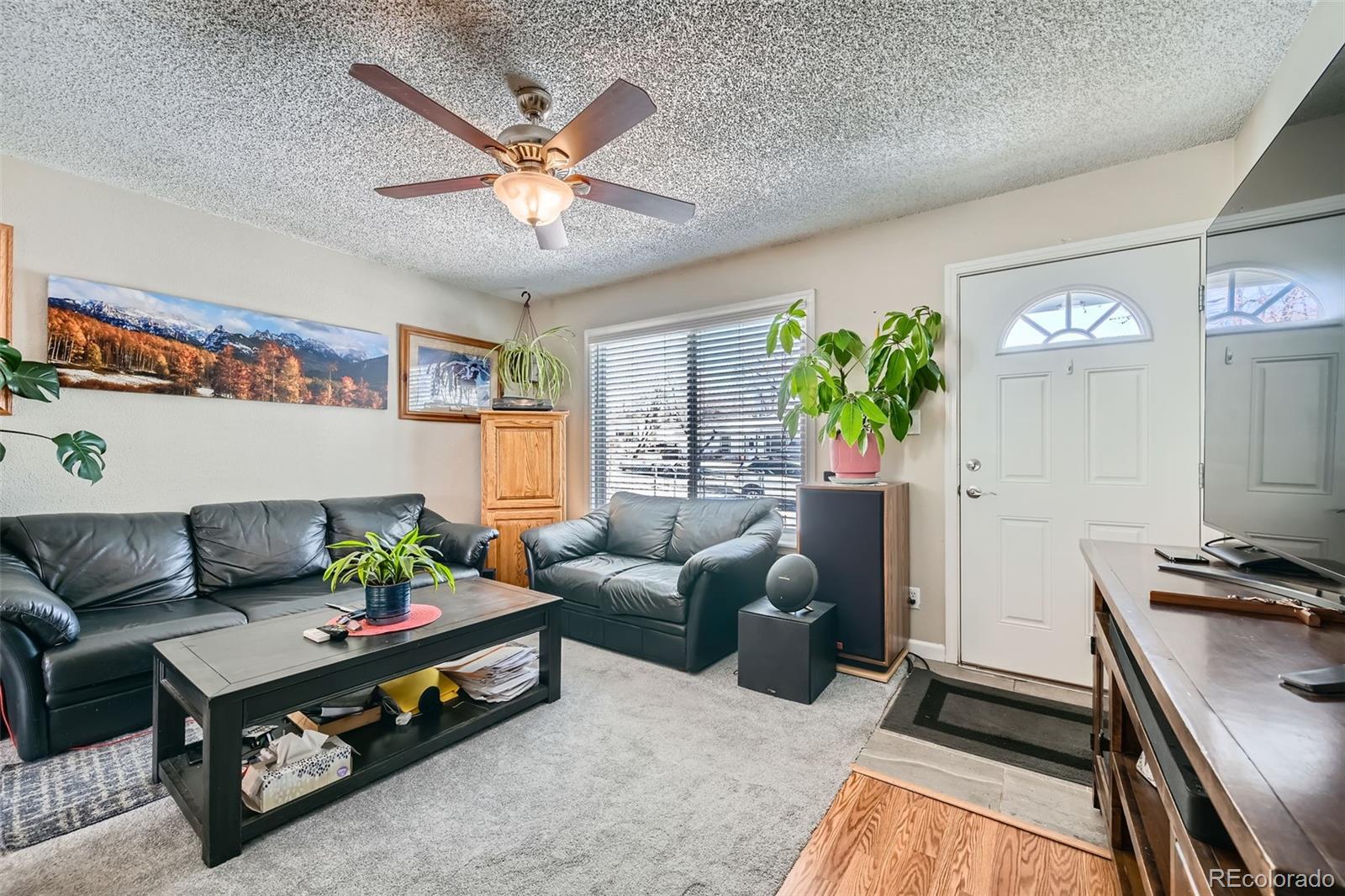 MLS Image #4 for 2863  casden circle,colorado springs, Colorado