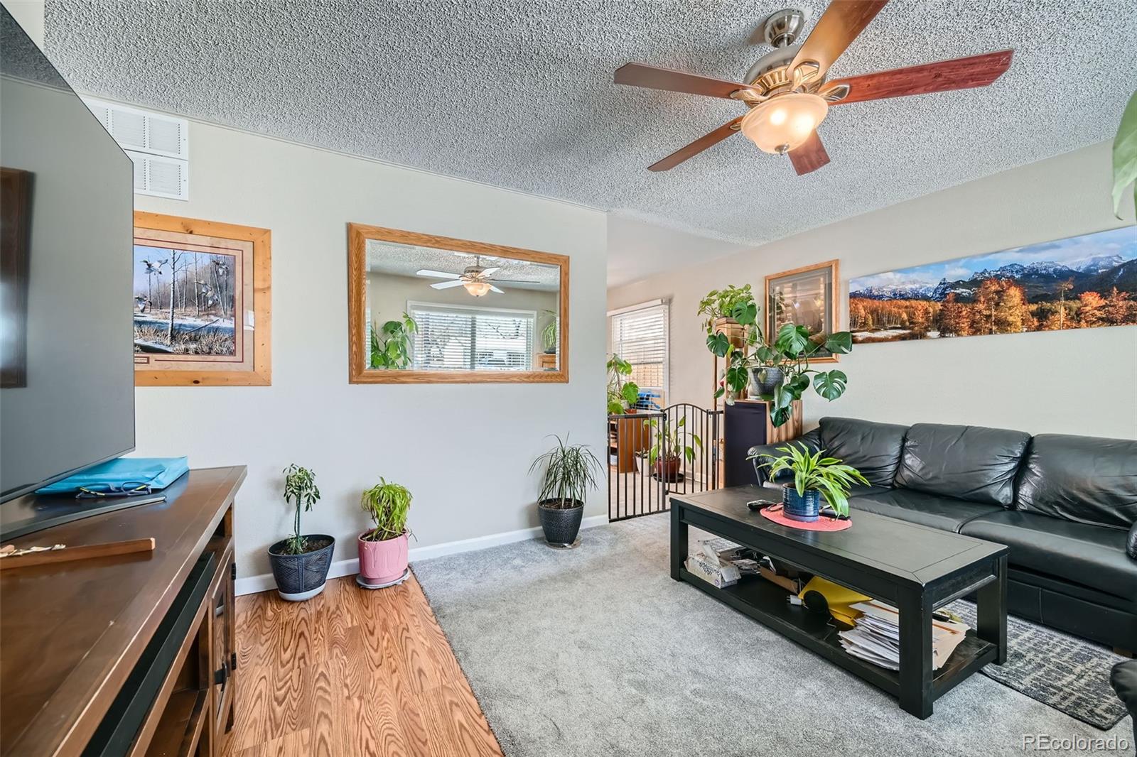 MLS Image #5 for 2863  casden circle,colorado springs, Colorado