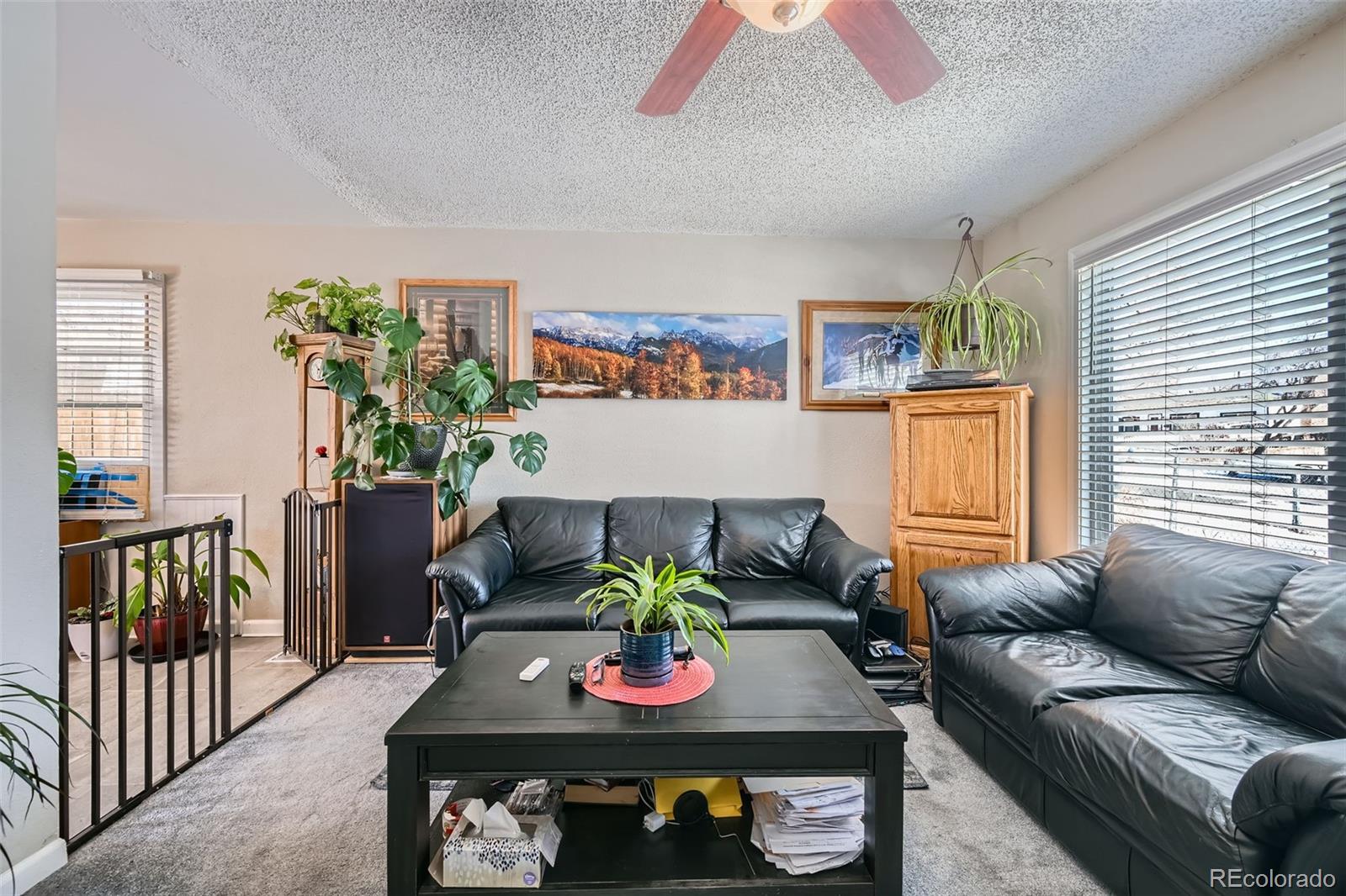 MLS Image #7 for 2863  casden circle,colorado springs, Colorado